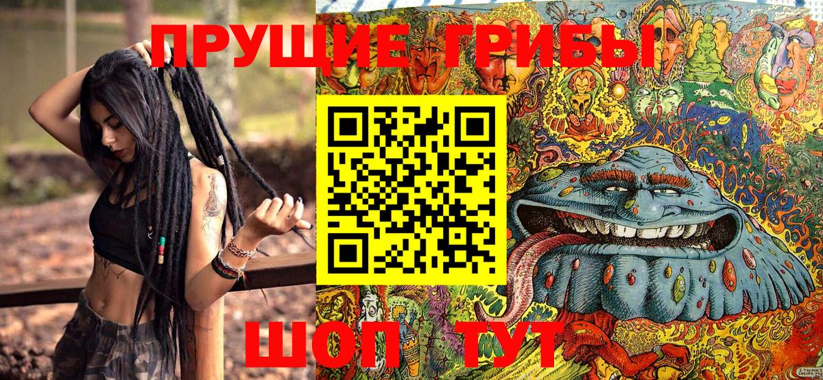 Добрянка  Галлюциногенные грибы Psilocybe  Вход с VPN  Галлюциногенные грибы Psilocybine cubensis 
